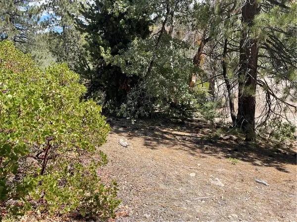 0 Arrowbear, Running Springs, CA 92382