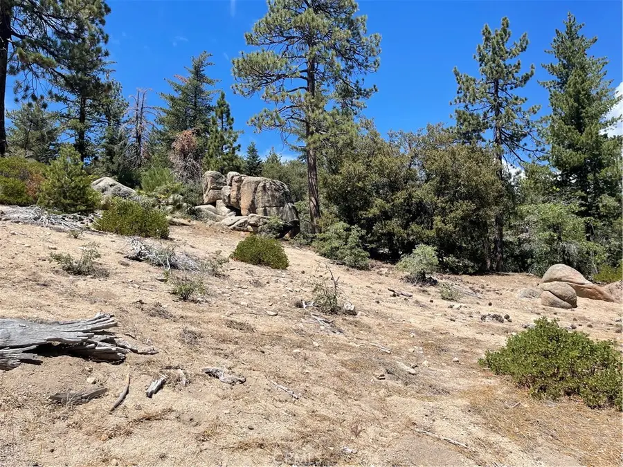 0 Arrowbear, Running Springs, CA 92382 - #2