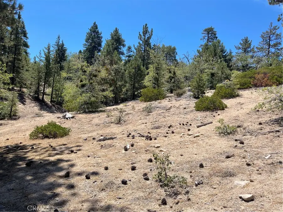 0 Arrowbear, Running Springs, CA 92382 - #3