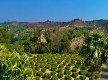 0 Foothill Road, Santa Paula, CA 93060