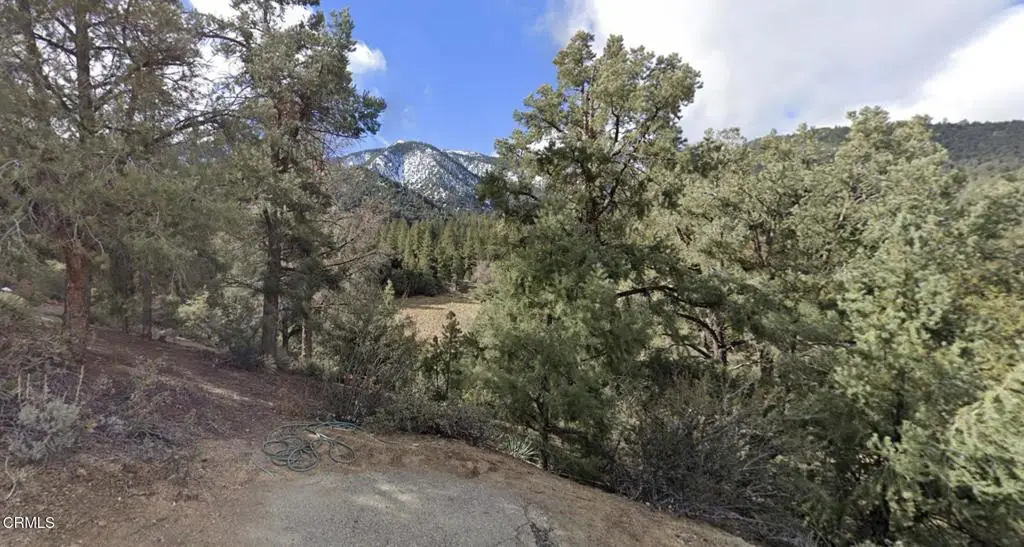 2209 St Anton Dr Drive, Pine Mountain Club, CA 93222 - #1