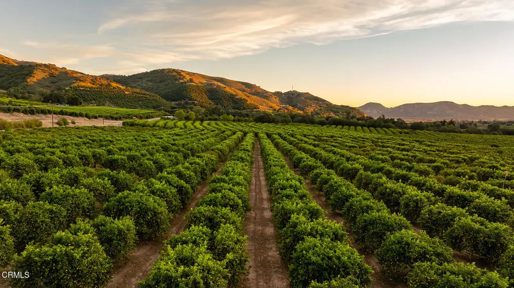 0 Goodenough Rd Street, Fillmore, CA 93015 - #1