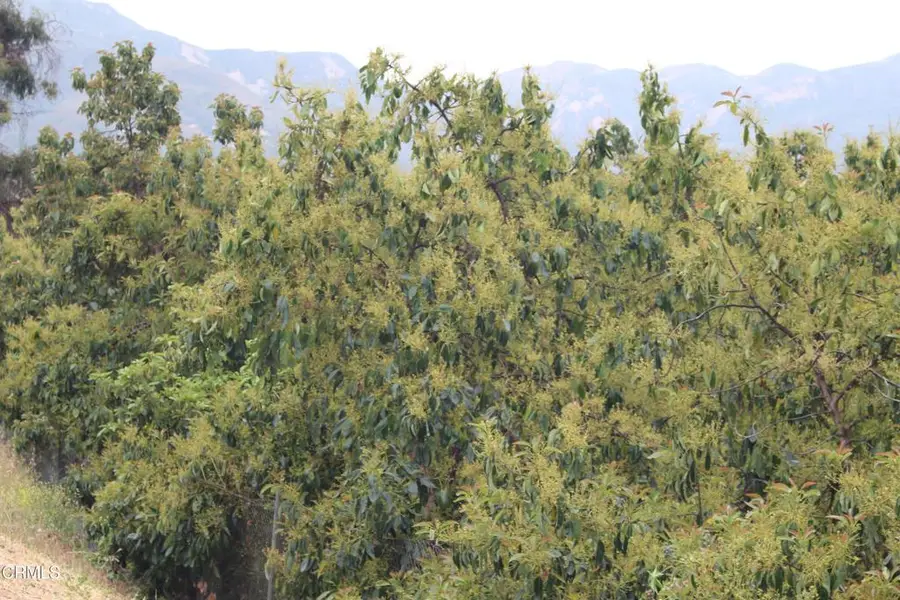 0 Camulos Street, Piru, CA 93040 - #2