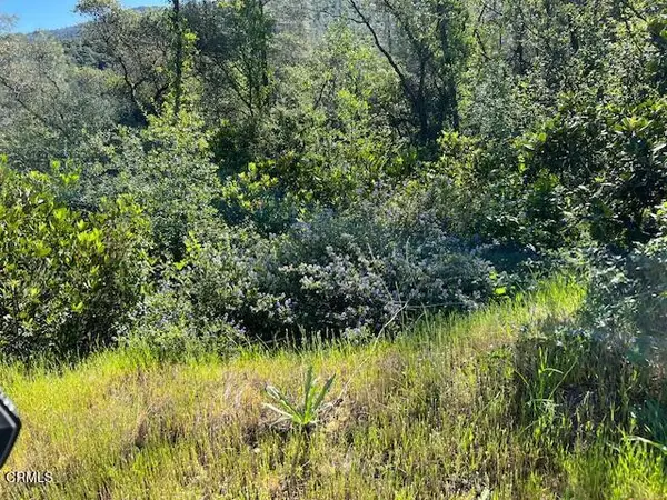 0 Rocky Top Road, Oroville, CA 95965