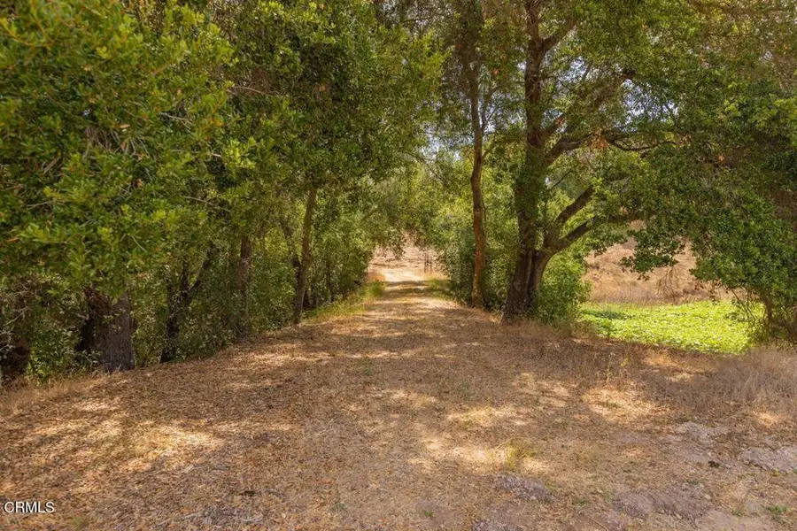 1410 Baldwin Road, Ojai, CA 93023 - #2