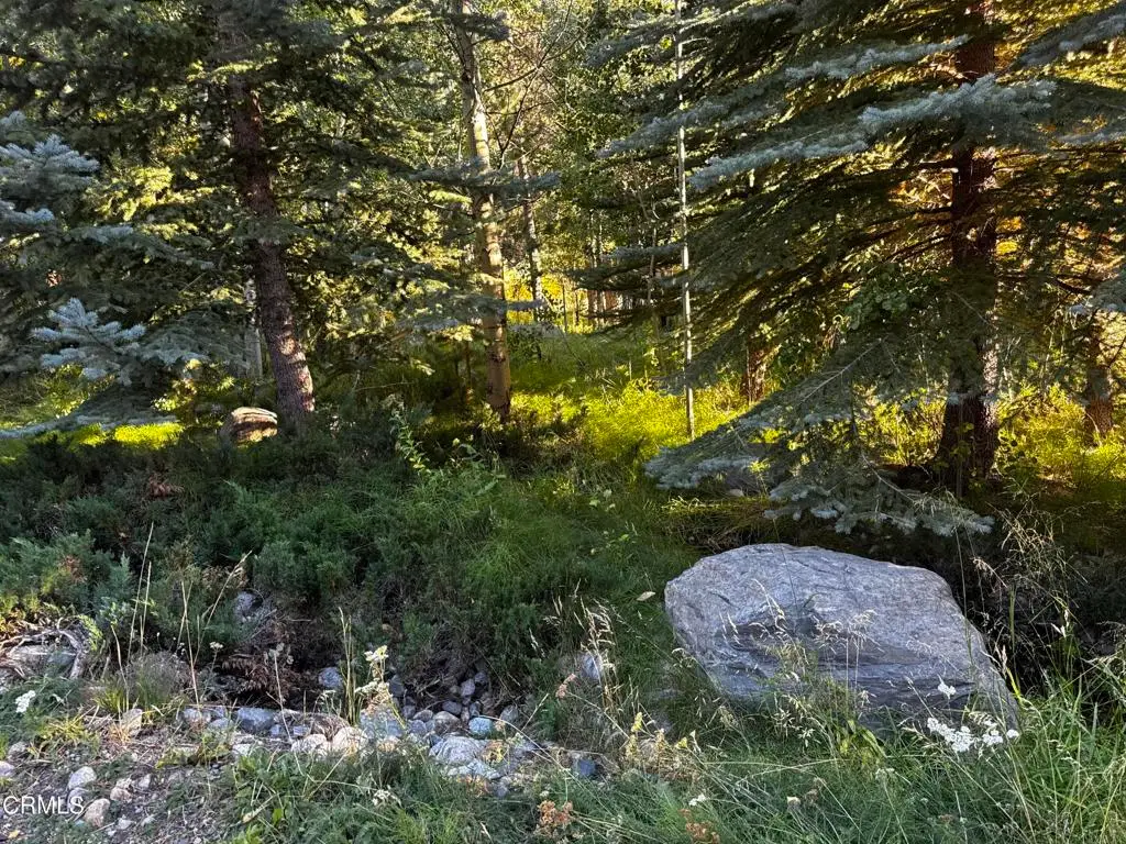 Lot 4 Minaret Road, June Lake, CA 93529 - #1