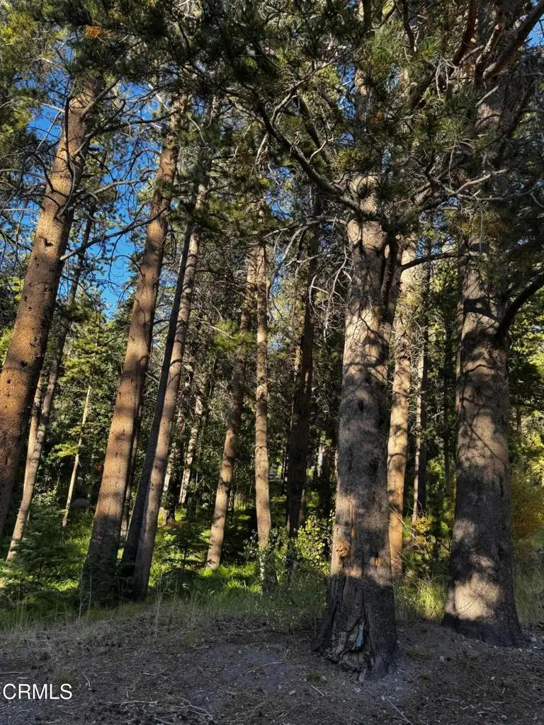 Lot 4 Minaret Road, June Lake, CA 93529 - #2