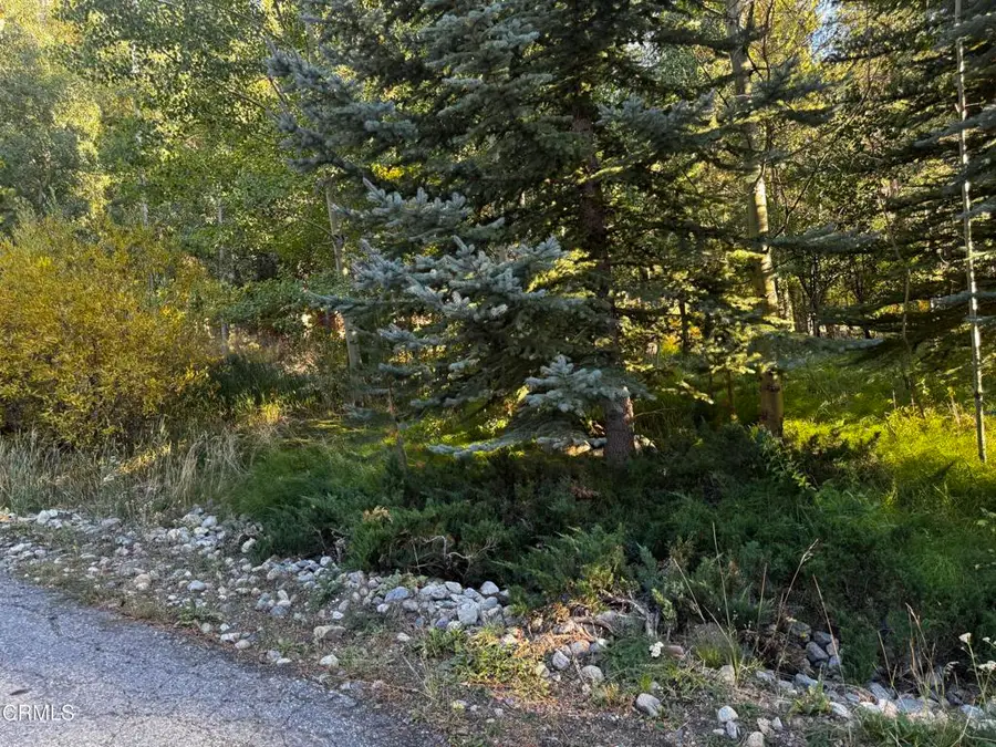 Lot 3 Minaret Road, June Lake, CA 93529 - #2