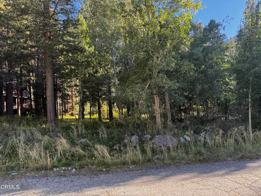 Lot 2 Minaret Road, June Lake, CA 93529 - #1