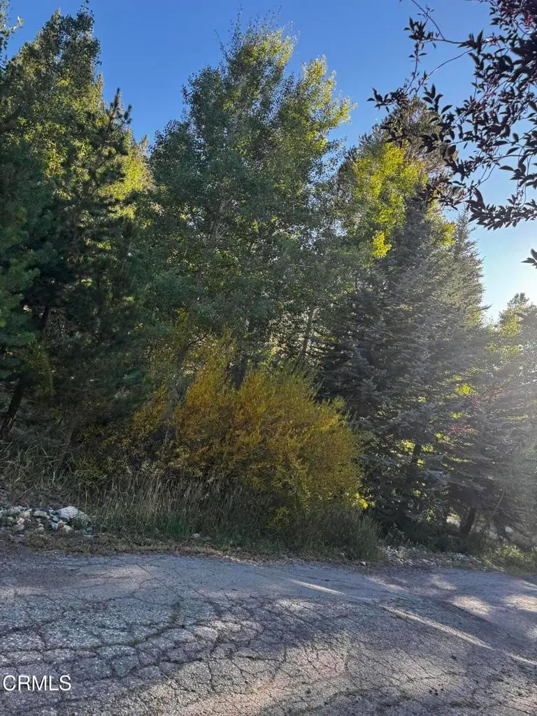 Lot 2 Minaret Road, June Lake, CA 93529 - #2