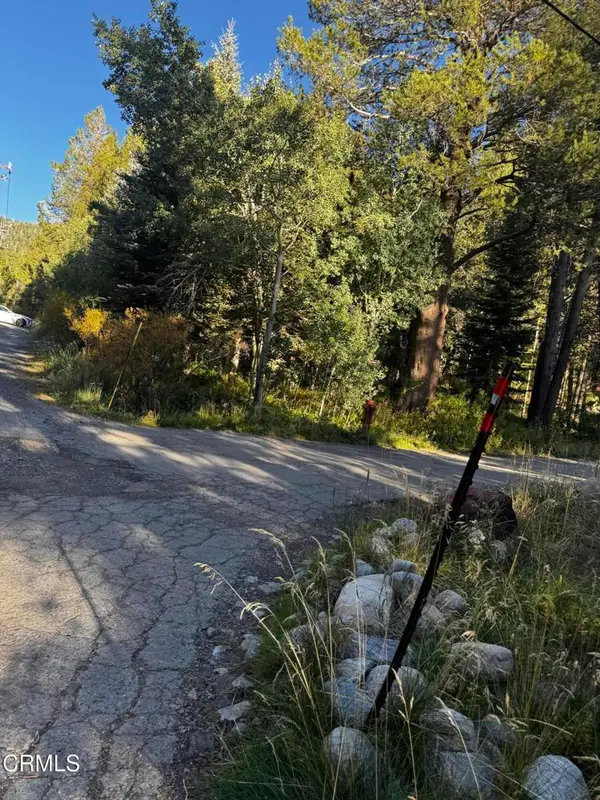 Lot 1 Aspen Grove Lane, June Lake, CA 93529