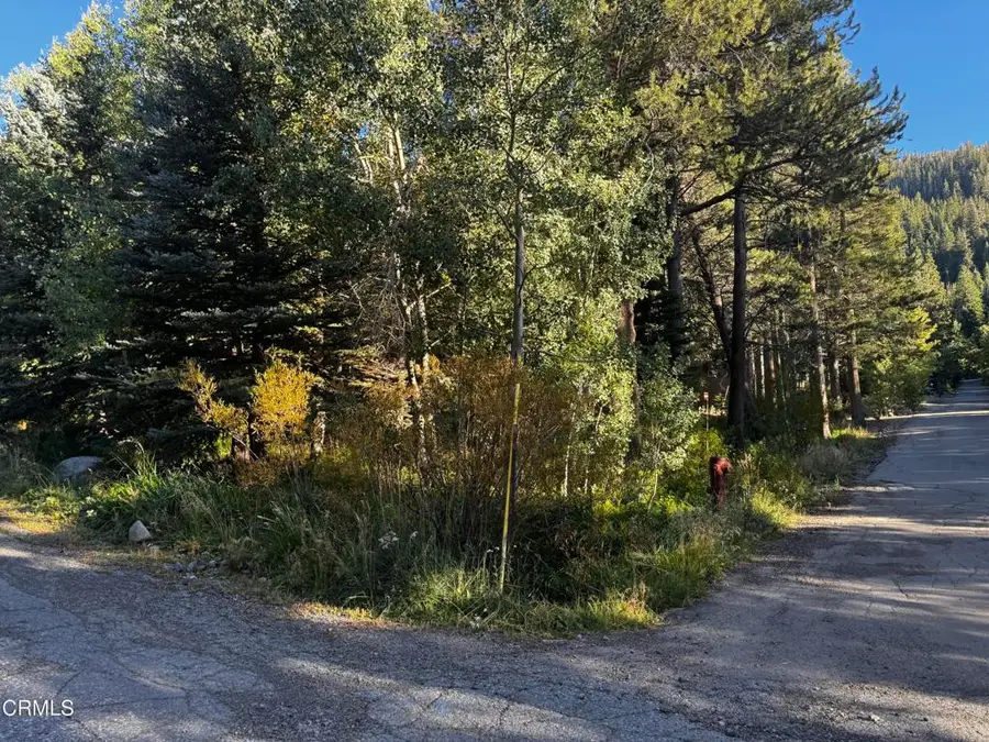 Lot 1 Aspen Grove Lane, June Lake, CA 93529 - #2