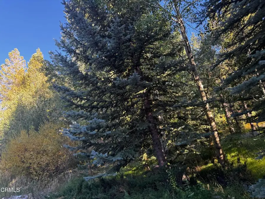 Lot 1 Aspen Grove Lane, June Lake, CA 93529 - #3