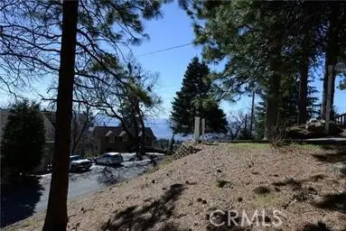 2458 Spring Oak, Running Springs, CA 92382 - #2
