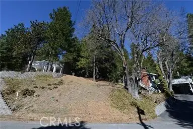 2458 Spring Oak, Running Springs, CA 92382 - #3