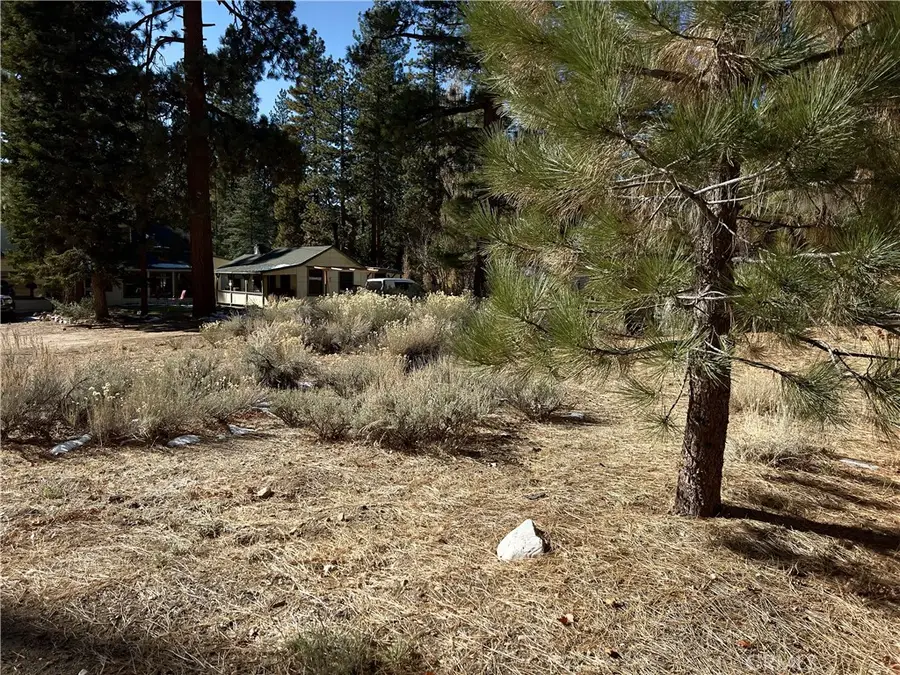 0 Canyon Road, Fawnskin, CA 92333 - #3
