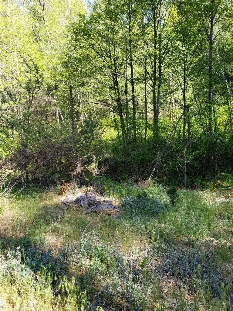 29531 Little Bear Creek Road, Cedar Glen, CA 92321 - #2