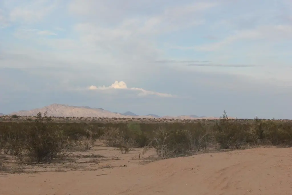 2107 Neptune Avenue, Salton City, CA 92274 - Image #1