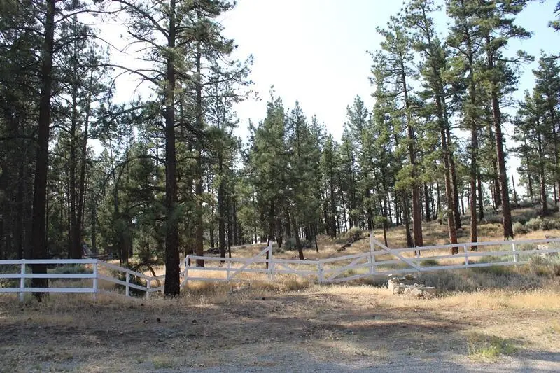 30 Butterfly Peak Road, Mountain Center, CA 92561 - Image #3