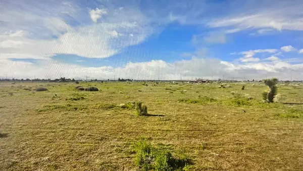 8485 White Fox Trail, Phelan, CA 92371