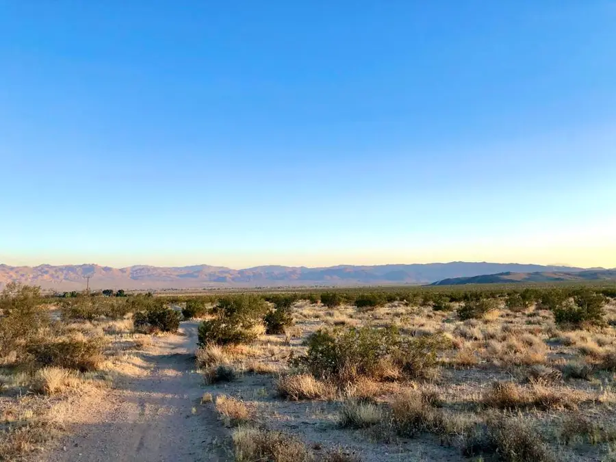 65225 Canterbury Street, Joshua Tree, CA 92252 - Image #3