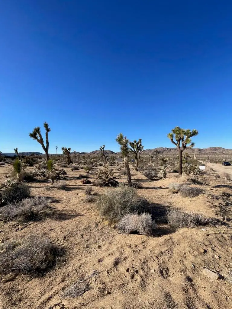 0 Saddleback Road, Joshua Tree, CA 92252 - Image #1