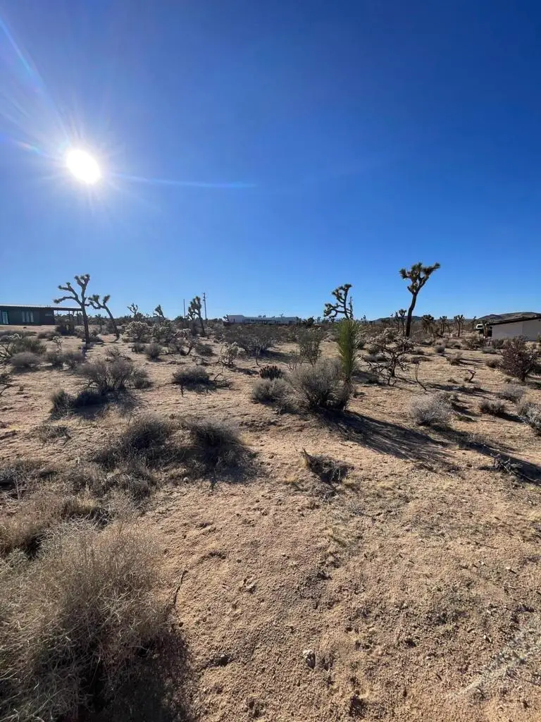 0 Saddleback Road, Joshua Tree, CA 92252 - Image #2