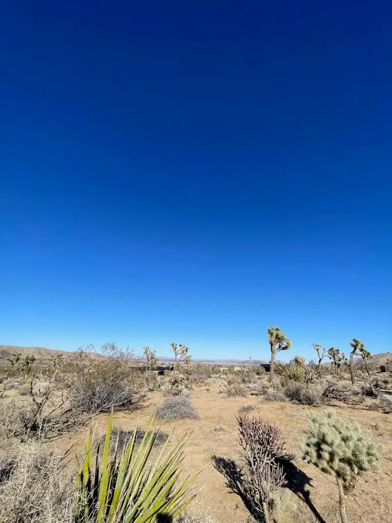 0 Saddleback Road, Joshua Tree, CA 92252 - Image #3