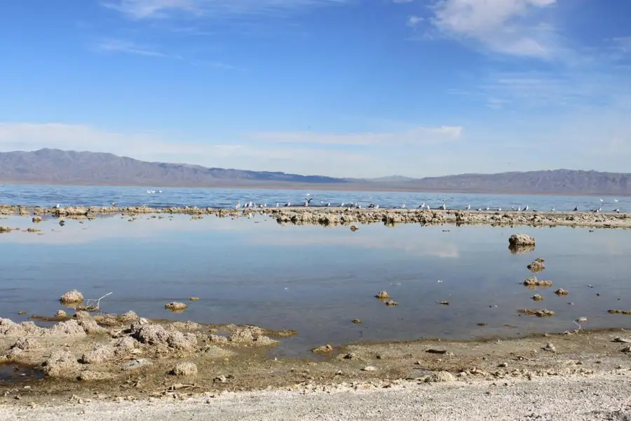 2467 Sea Gull Avenue, Thermal, CA 92274 - Image #3