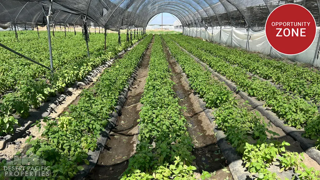 78100 Harrison St, Thermal, CA 92274 - Image #1