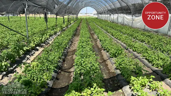 78100 Harrison St, Thermal, CA 92274