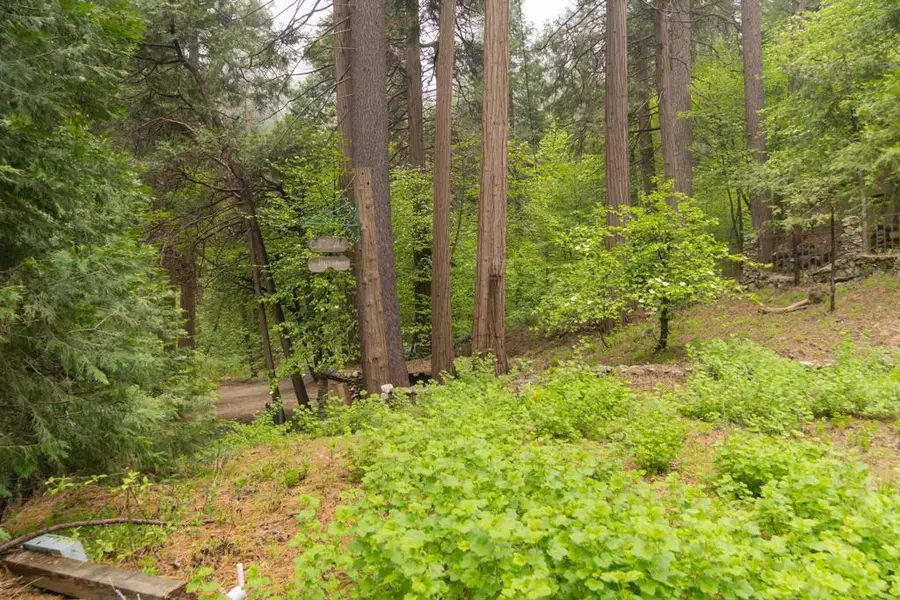 710 Blue Jay Canyon Road, Lake Arrowhead, CA 92317 - Image #2