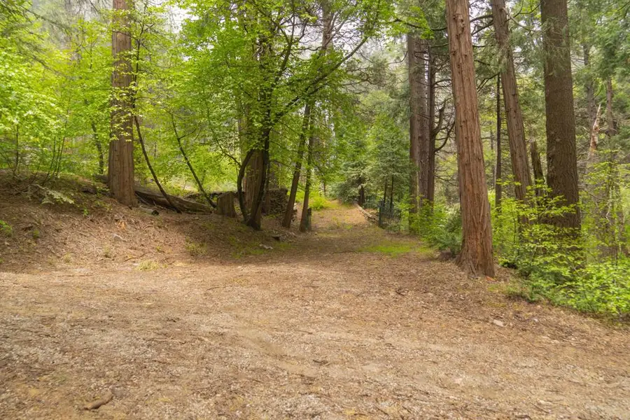 710 Blue Jay Canyon Road, Lake Arrowhead, CA 92317 - Image #3