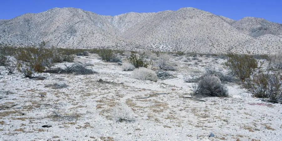 1 Camino Zangiri, Desert Hot Springs, CA 92241 - Image #2