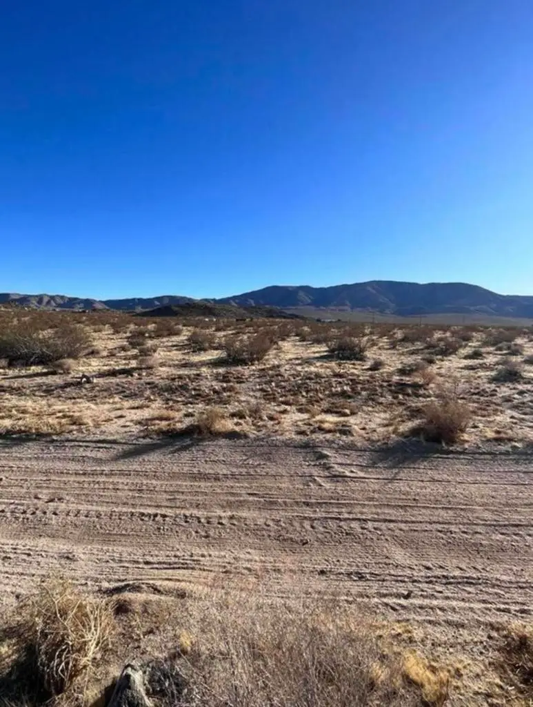 0 Datura Terrace, Johnson Valley, CA 92285 - Image #3