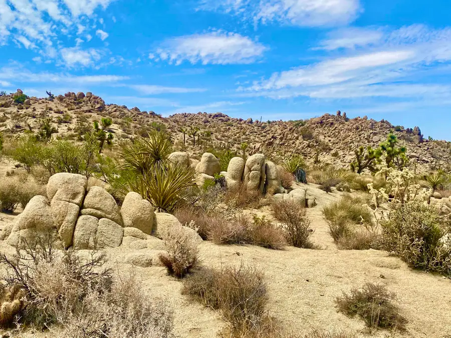 104 Bandera Road, Yucca Valley, CA 92284 - Image #3