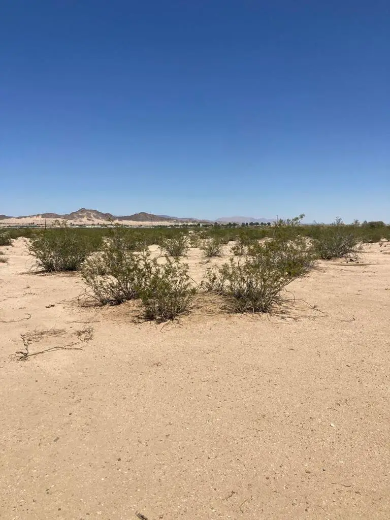 72720 Sunny Sands Drive, Twentynine Palms Yucca Valley, CA 92277 - Image #2