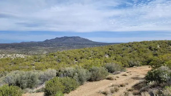 0 Palace Drive, Mountain Center, CA 92561