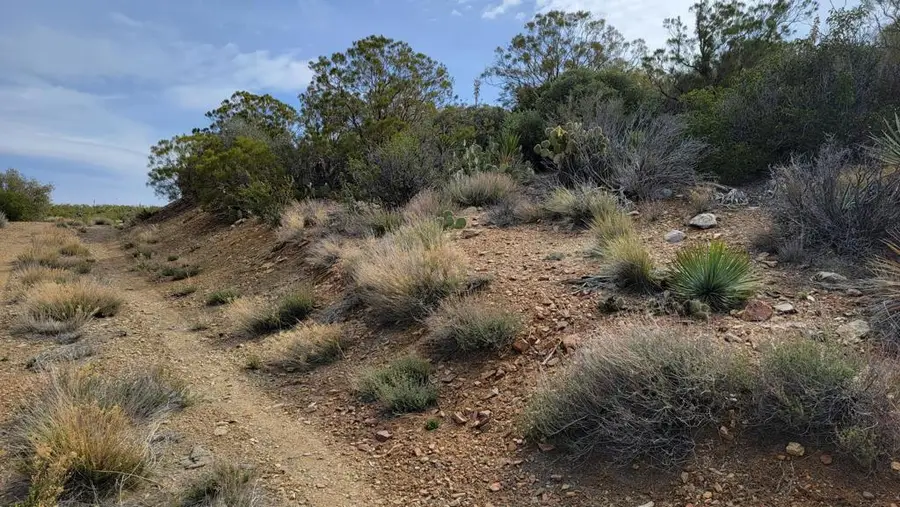 0 Palace Drive, Mountain Center, CA 92561 - Image #2