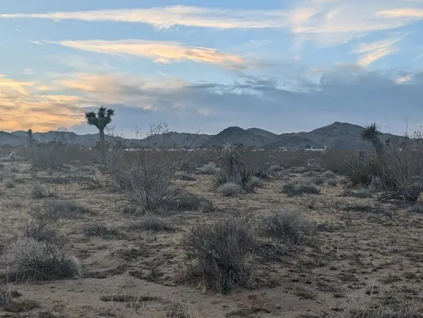 476 Ripon Avenue, Yucca Valley, CA 92284