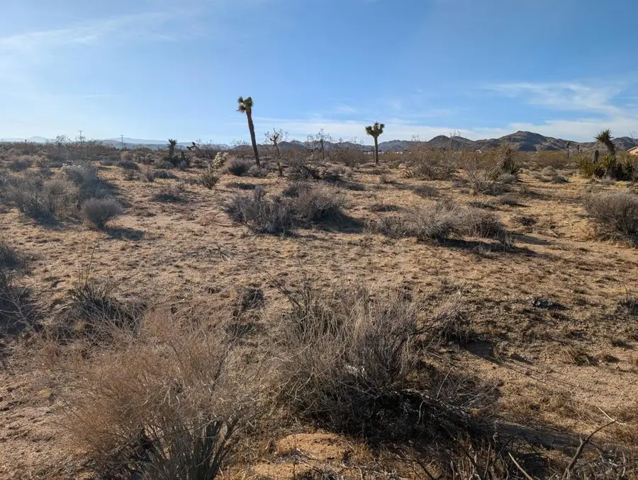 476 Ripon Avenue, Yucca Valley, CA 92284 - Image #2