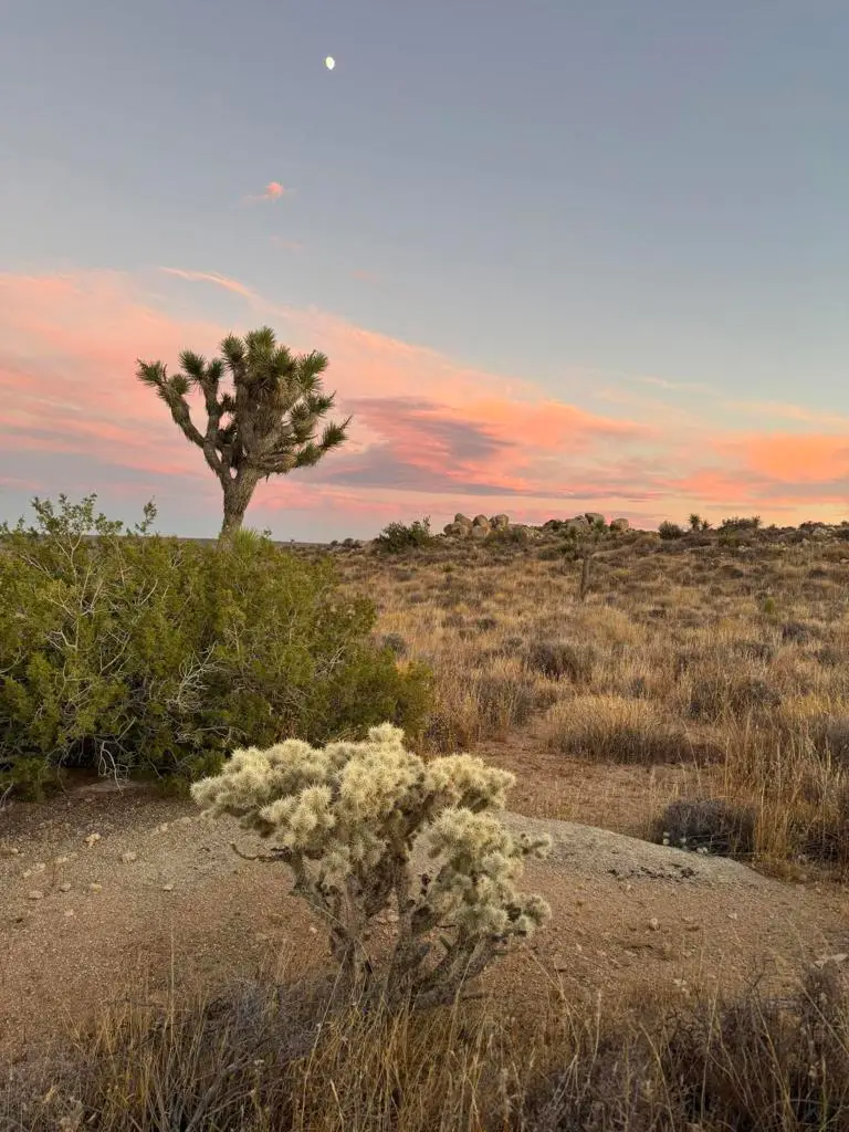 52185 Jalmar Road, Yucca Valley, CA 92284 - Image #3