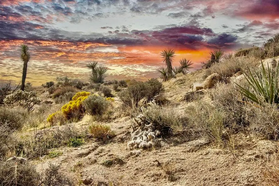 101 Nelson Road, Yucca Valley, CA 92284 - Image #2