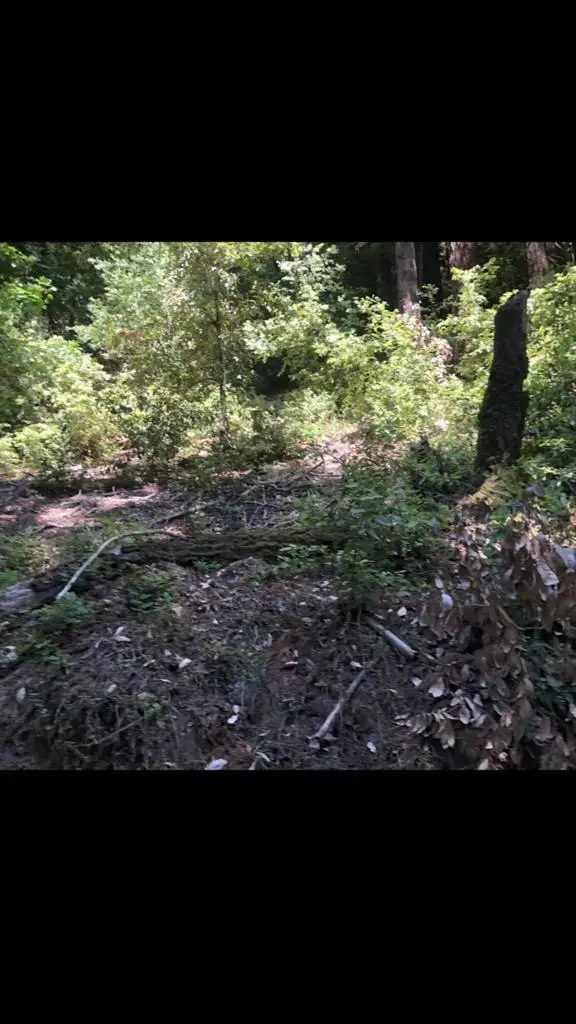 0 Visitar Street, Scotts Valley, CA 95066 - Image #3