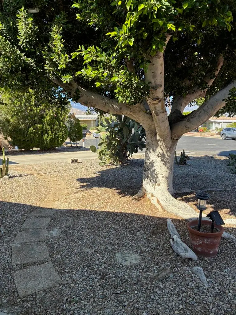 73921 Line Canyon Lane, Palm Desert, CA 92260 - #2