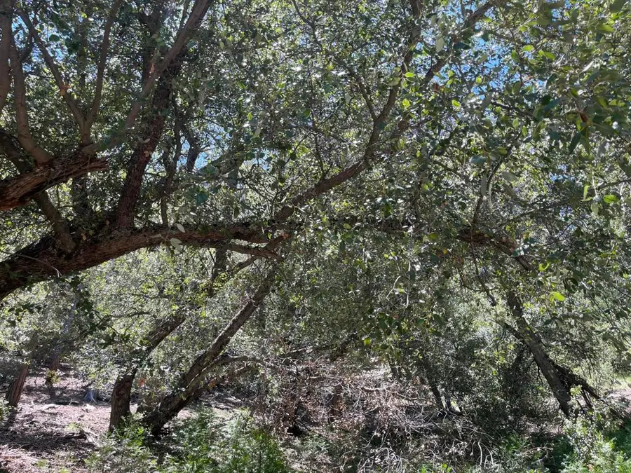 0 Middleridge Drive, Idyllwild, CA 92549 - #2