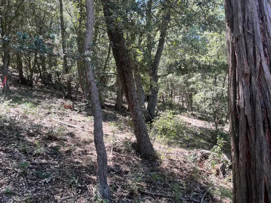 0 Middleridge Drive, Idyllwild, CA 92549 - #3