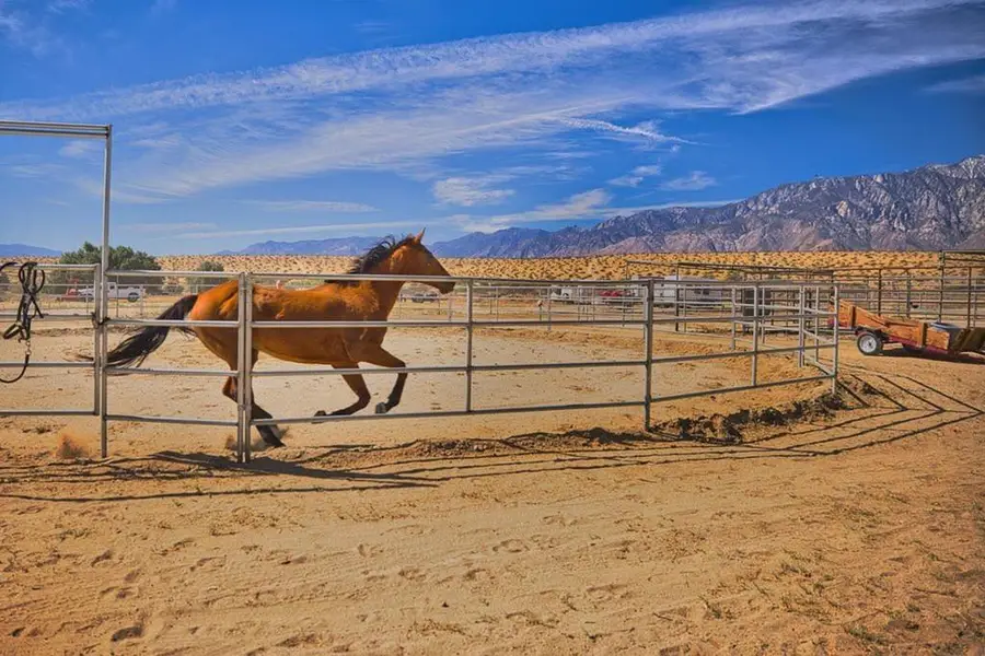 20555 Mountain View Road, Desert Hot Springs, CA 92241 - #2