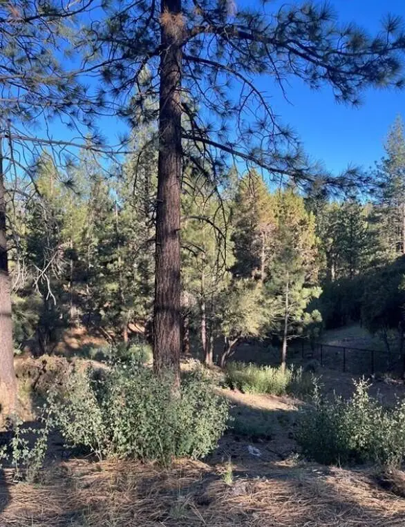 545 Division Drive, Big Bear City, CA 92314 - #1
