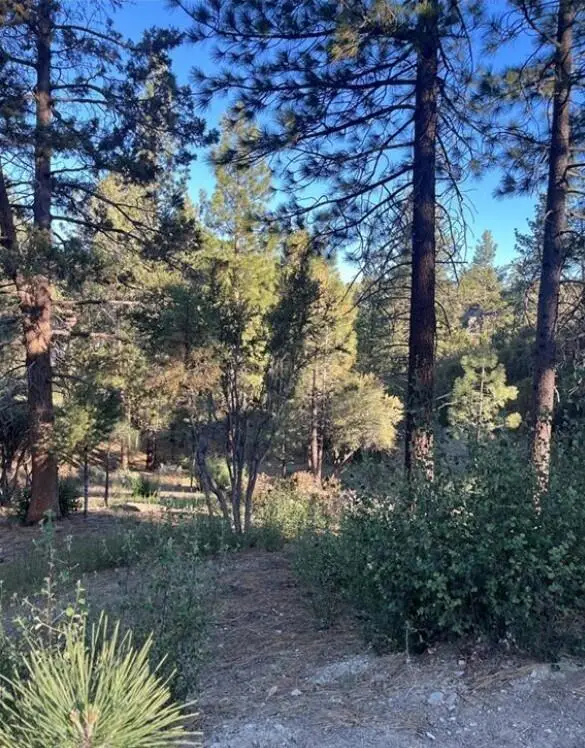 545 Division Drive, Big Bear City, CA 92314 - #2
